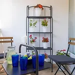 Apartman Mario Star *